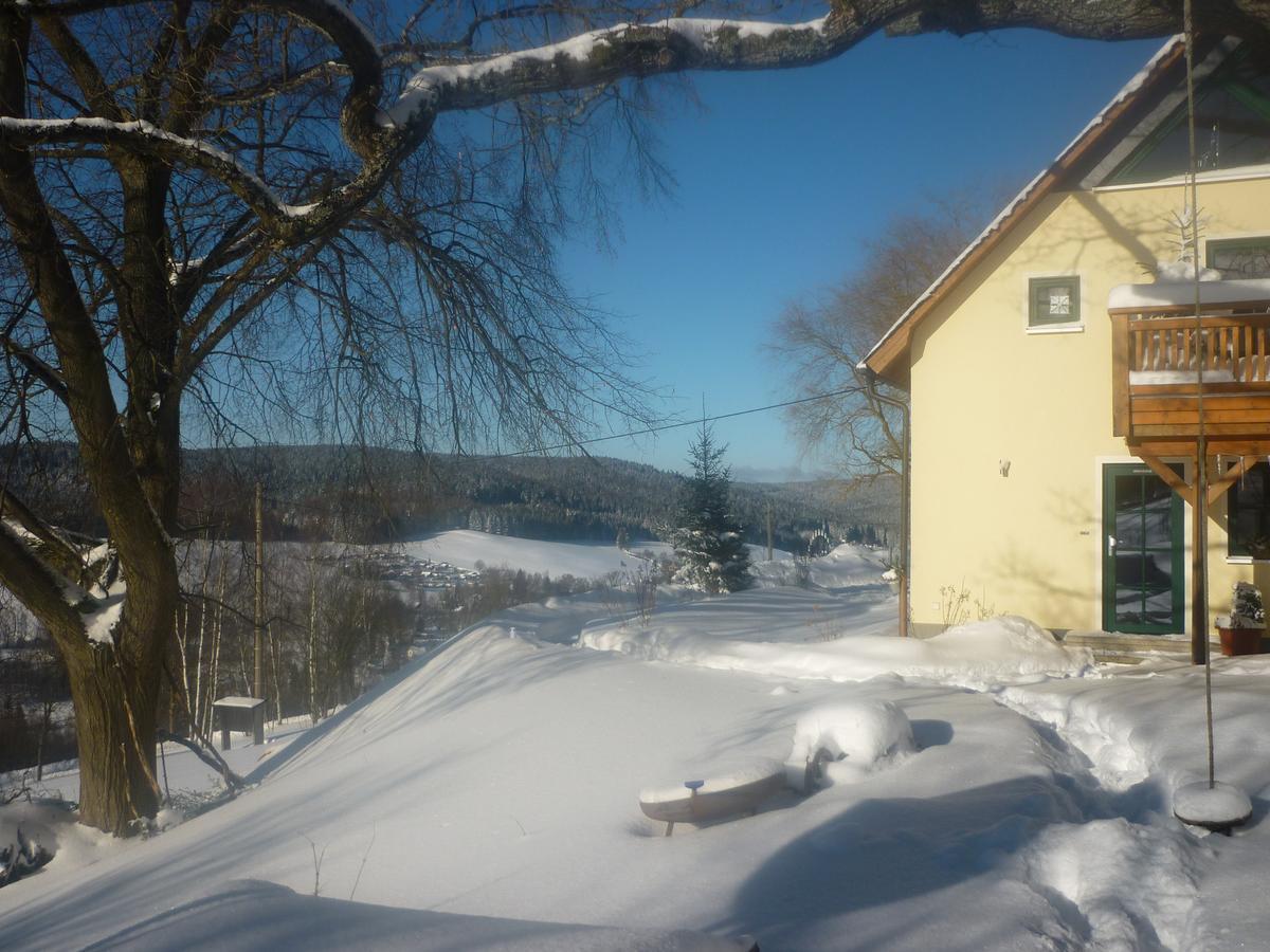 Ferienwohnung Laempelberg Klingenthal Buitenkant foto