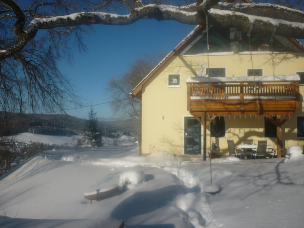 Ferienwohnung Laempelberg Klingenthal Buitenkant foto